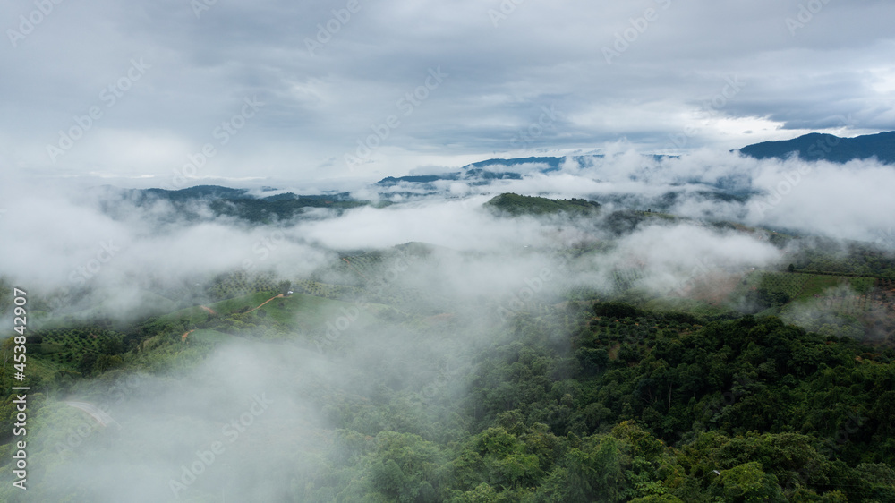 aerial view of clouds on beautiful mountains beautiful nature that covers the fertile tropical forests of Nan Province Northern Thailand, Ya Luang Suan