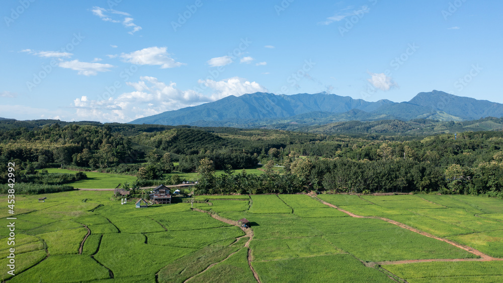 An aerial view of large agricultural areas, rice fields with streams running through it. Agricultural way of life in rural areas in northern Thailand, Nan province.
