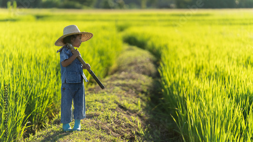 A cute Asian girl farmer looking at her beautiful field. warm light time Rural areas of Nan Province, Northern Thailand. Organic agriculture concept.