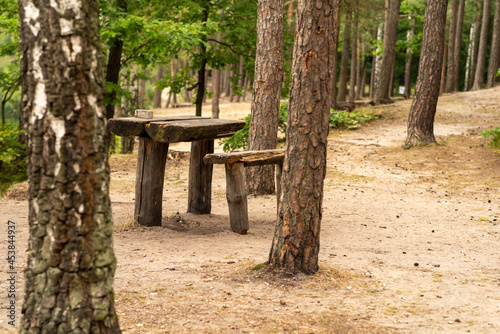 drewniany stół i ława w lesie