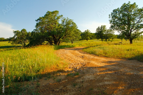 Farm in Summer in the American West