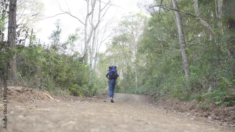 Male hiker with backpack in woods