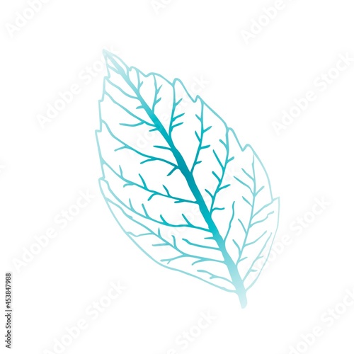 Simple vector drawing. Frosty winter leaf, veins. Seasonal design.