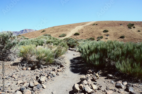 TENERIFE, SPAIN: Scenic landscape view of the Teide volcano natural park