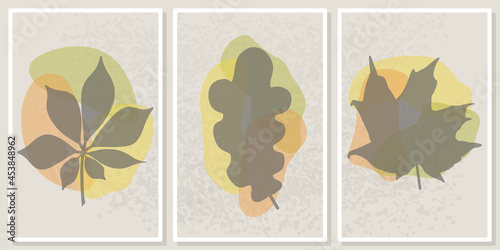 frames with silhouettes of different autumn leaves - for wall framed prints, canvas prints, poster, home decor
