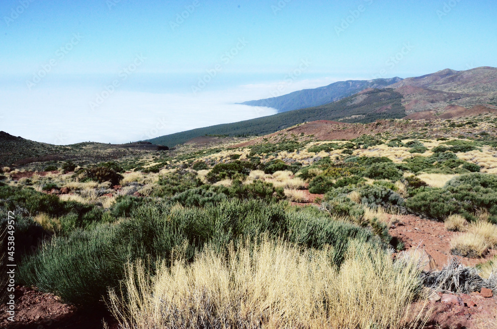 TENERIFE, SPAIN: Scenic landscape view of the Teide volcano natural park TENERIFE, SPAIN: Scenic landscape view of the Teide volcano natural park