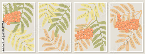 rowan leaves and berries - wall art vector set, - for wall framed prints, canvas prints, poster, home decor
