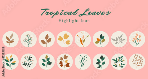 Set of tropical leaf botanical icon social media highlight story template banner with colorful boho style color combination background.
