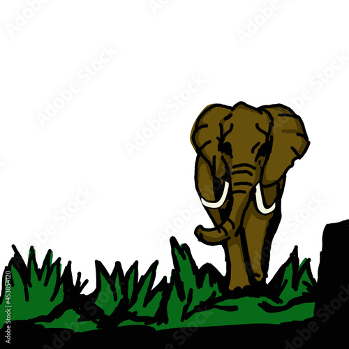elephant walk