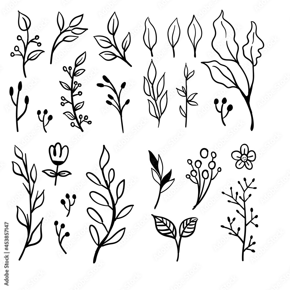 Floral doodles graphic elements vector set. Flowers and plants hand drawn illustrations. Floral doodles graphic elements vector set. Flowers and plants hand drawn illustrations.