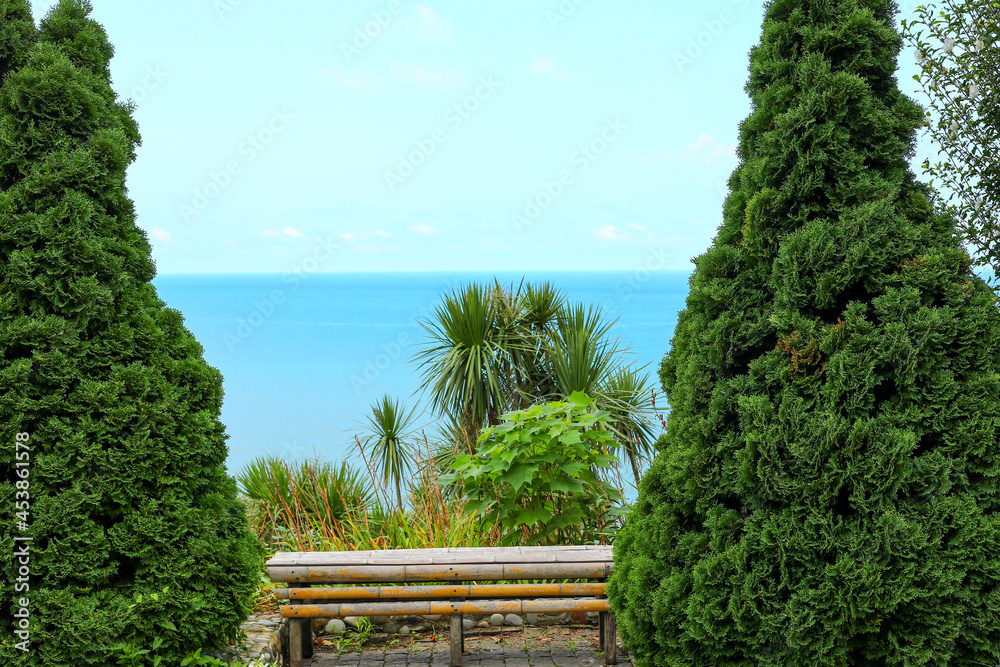 Obraz premium beautiful landscape in a botanical garden overlooking the sea