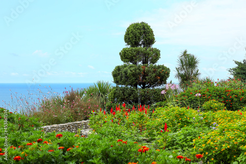 beautiful landscape in a botanical garden overlooking the sea