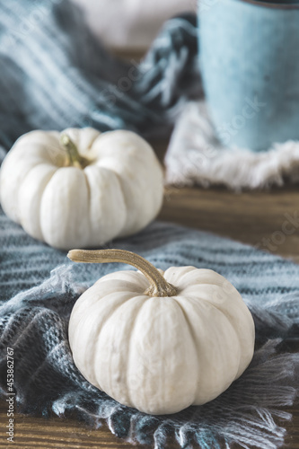 Two white mini pumpkins with a woolen scarf on a wooden table, coffee cup in the background, autumn decoration in gray and white colours, vertical.