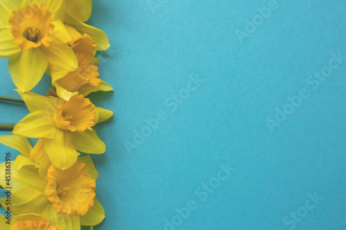 Bouquet of daffodils on blue background. Holiday greeting card, spring background. Flat lay, top view, copy space.