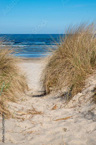 Fototapeta Naklejka Na Ścianę i Meble -  Dune on the Baltic Sea
