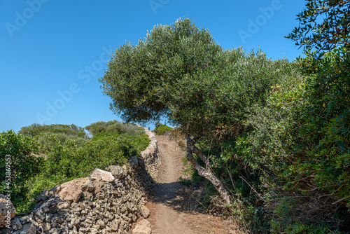 Cotonar stream in Minorca, Balearic Islands, Spain. photo