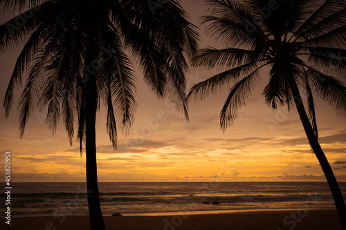 sunset on the beach.sunset and tropical island through palm leaves.Orange colorful sky silhouette coconuts Tree Branch.