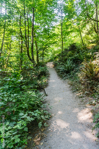 Dirt Park Trail