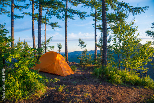 tent in the forest