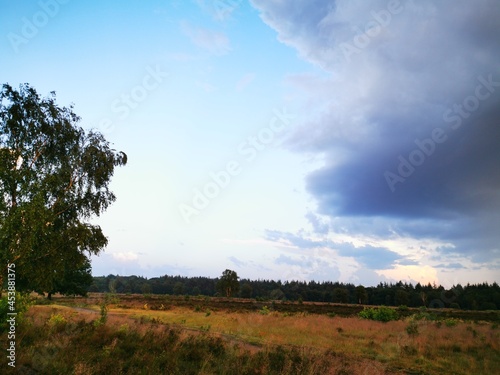 landscape with clouds
