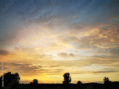 sunset over the field
