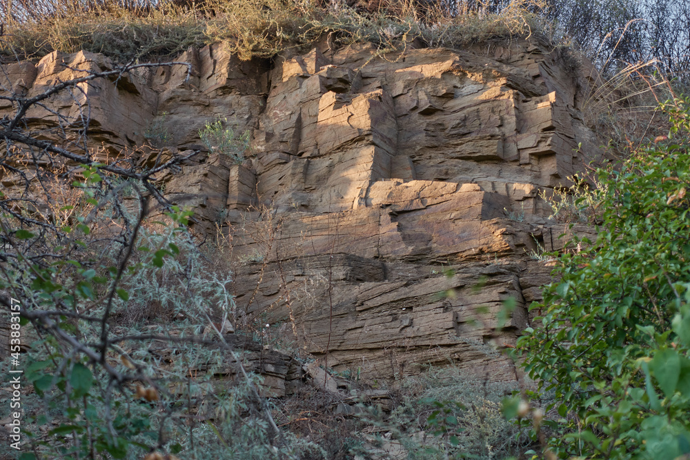 A fragment of a rock on which trees and bushes grow. A fragment of a rock on which trees and bushes grow.