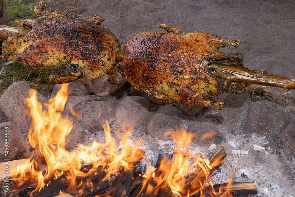 ducks with crispy brown skin roasted on a spit on the open fire, campfire cooking, spit roast ducks with crispy brown skin roasted on a spit on the open fire, campfire cooking, spit roast