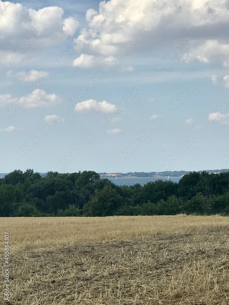 Hilly scenic view on Baltic Sea from top rural crop field 