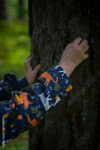 A kid is peeling the crust from the tree