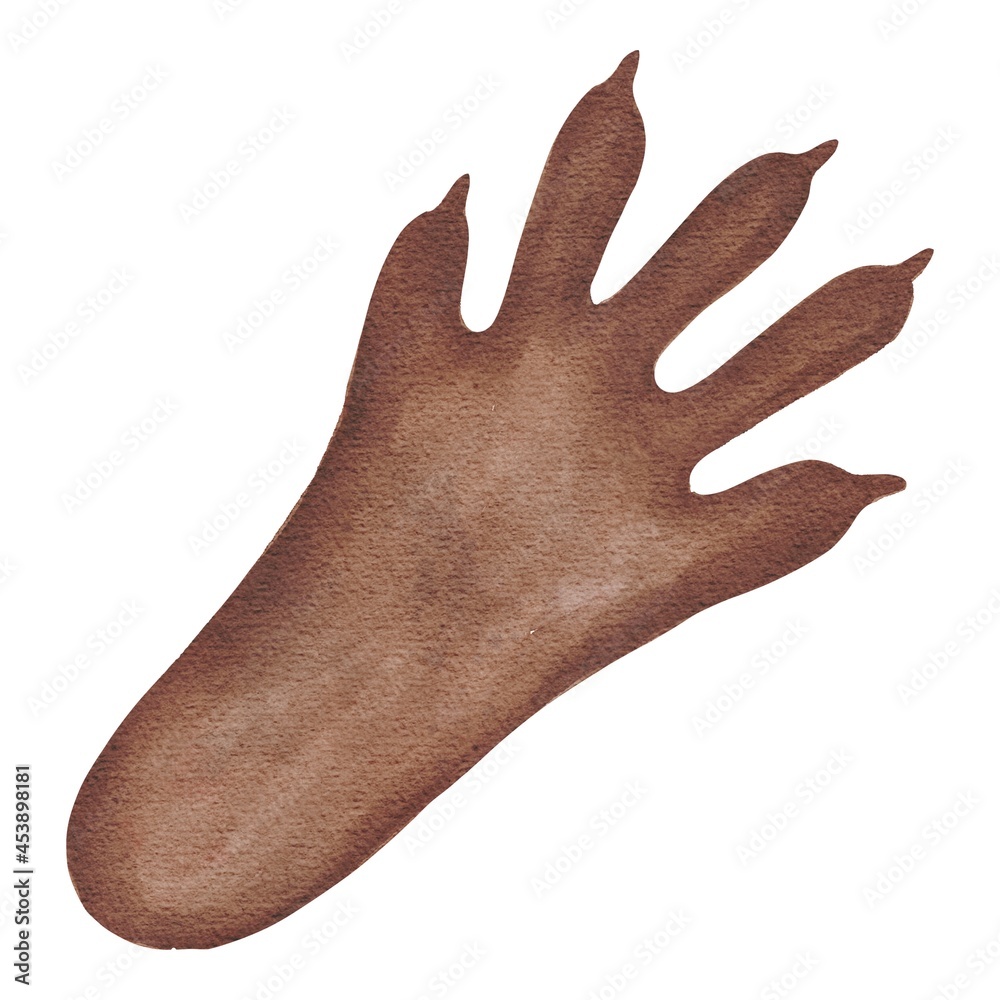 Hand drawn watercolor squirrel paw print of a forest animal isolated on white background. Use for poster, print, postcard, card, template, textile, fabric, pattern, stickers
