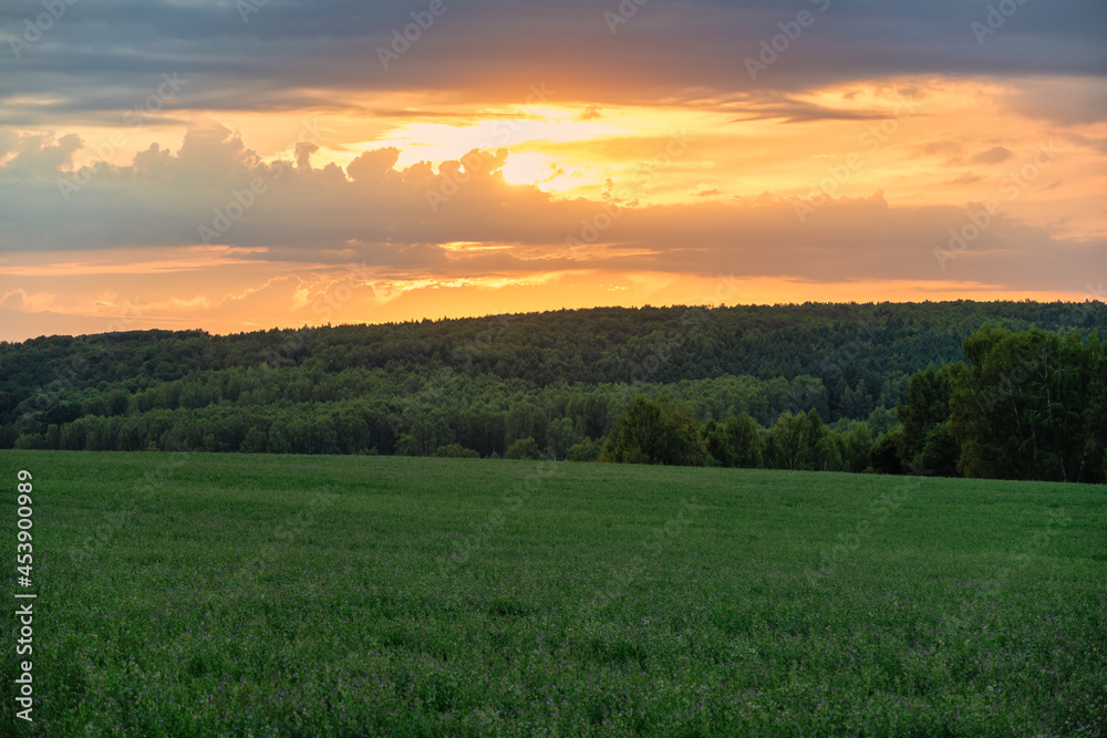 Scenic rural sunset with an agricultural field in the foreground and trees in the background. Vibrant golden colors of the clouds, countryside meadow in summer.