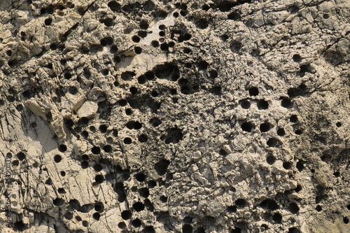 texture of grey stone for background 