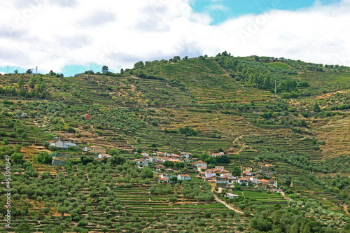 Vallée du Douro, Portugal	 photo