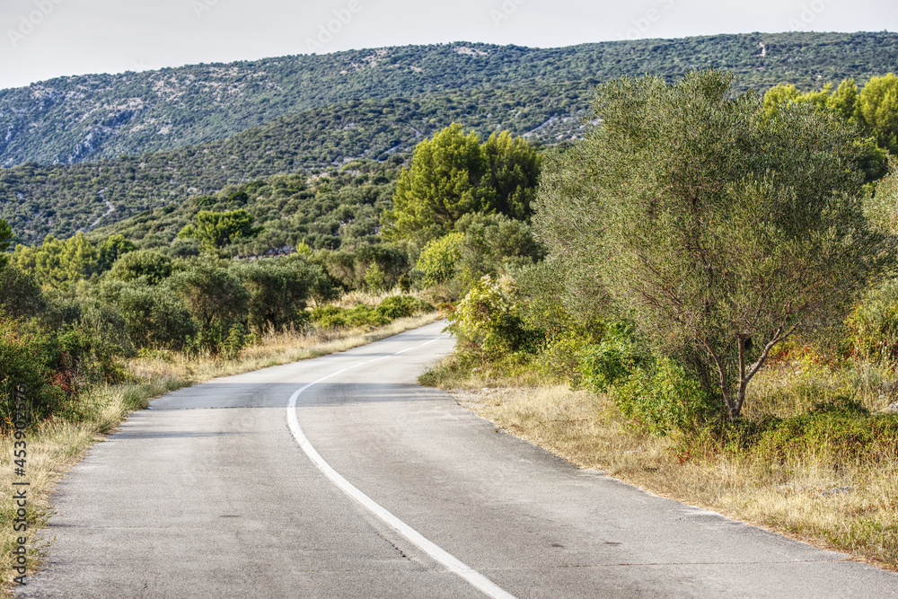 scenic road on cres island in the adriatic sea