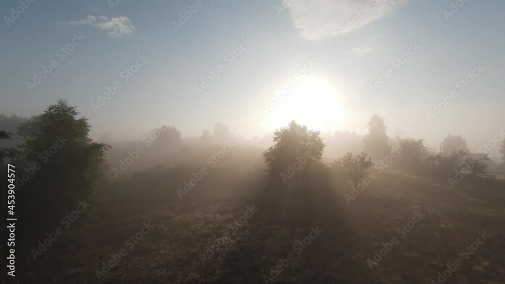 aerial fpv drone flying in the misty forest with morning fog on sunrise. aerial fpv drone flying in the misty forest with morning fog on sunrise.