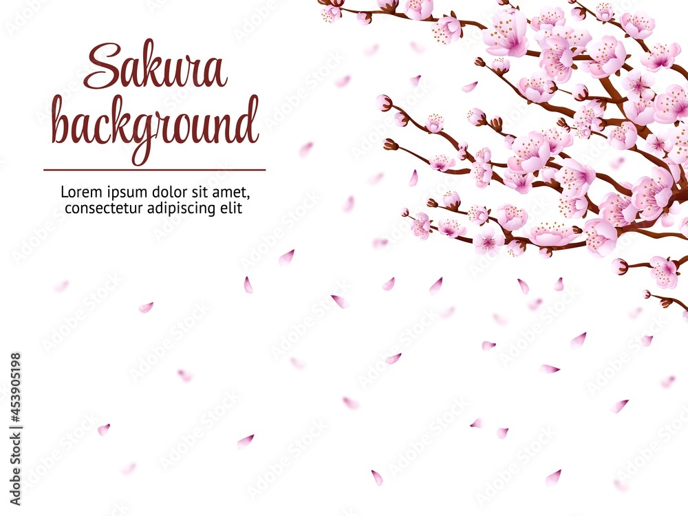Sakura branch background. Cherry blossom, japan tree floral branches. Japanese flowers blooming festival, spring romantic swanky vector poster