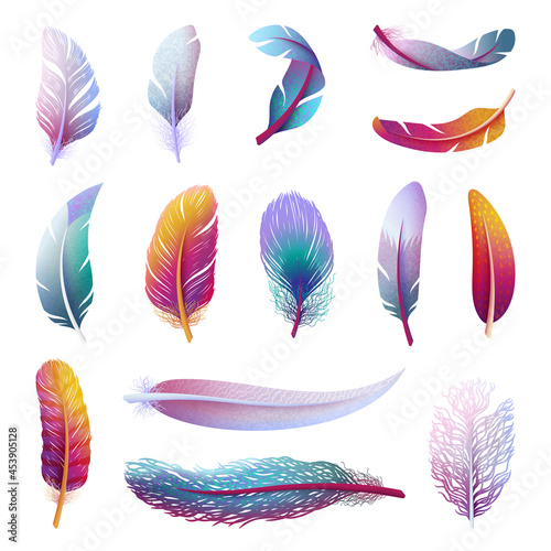 Colorful bird feather. Realistic feathers, isolated boho color elements. Tribal artistic wings, different decorative feathering swanky vector clipart