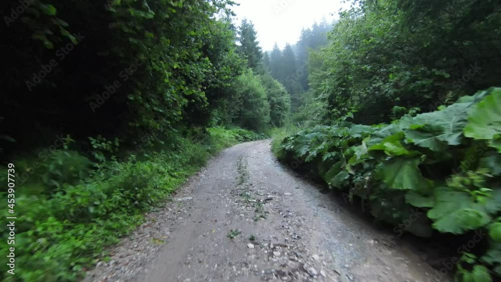 fpv aerial fallowing flying shot over a country road in the misty forest in the mountain. fpv aerial fallowing flying shot over a country road in the misty forest in the mountain.