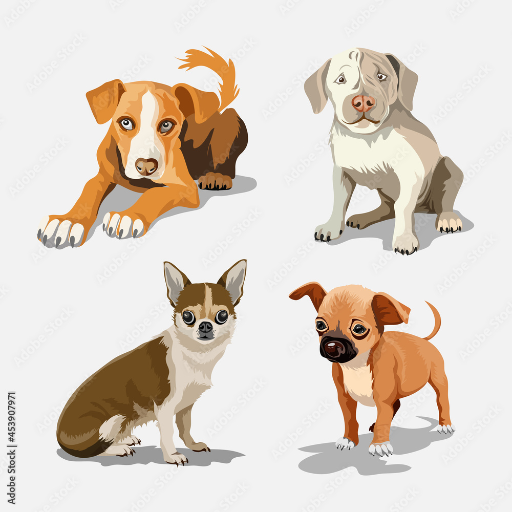 Collection with cute dogs of different breeds. Set of funny dogs, on a white background. Furry human friends home animals