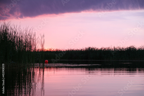 Late evening sunset near river Lielupe, with pink colors and cloudy. photo