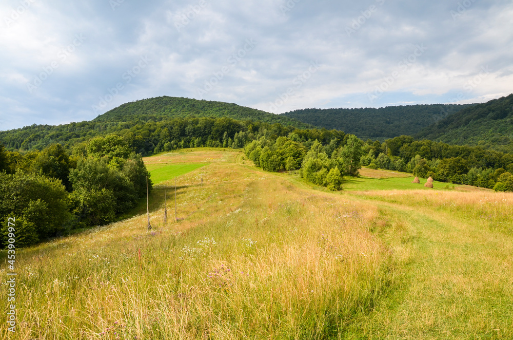 Scenic panoramic view of fresh green meadows and mountain tops in the background during summer morning. Carpathian mountains, Ukraine