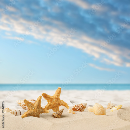 Beautiful sea stars and seashells on sandy beach