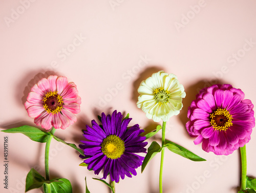 bright multicolored flowers on a pink background copy space, for a postcard and a holiday