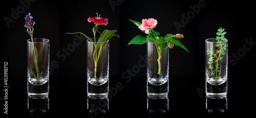 Four shot glasses with different plants placed on reflective surface on black background