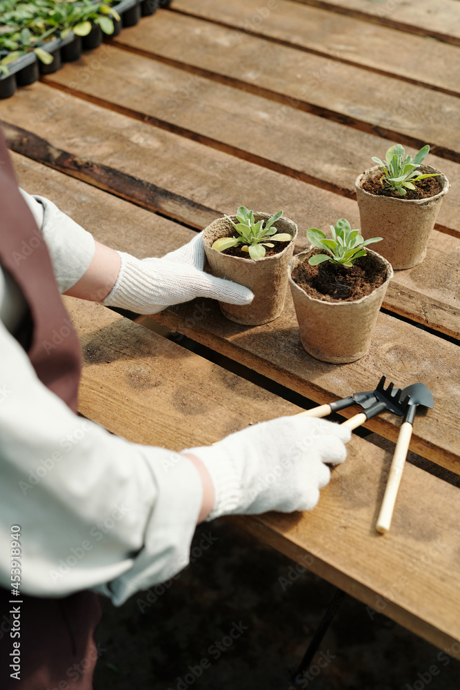 Hands of farmer in gloves taking handtool before transplanting seedlings by wooden table