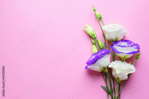 Beautiful white-purple eustoma (lisianthus) flowers in full bloom with green leaves. Bouquet of flowers on a pink background © Oksana