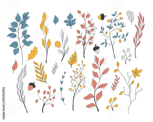 Vector autumn set with red  blue  and yellow doodle elements of branches with leaves  flowers and berries  foliage  anchors. Hello  autumn. Collections of elements for decoration  design  greeting