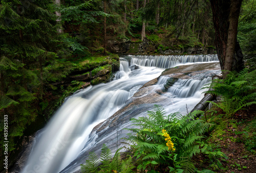 Fototapeta Naklejka Na Ścianę i Meble -  Beautiful waterfall in the forest