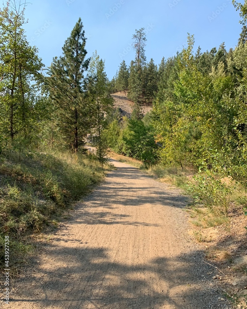 Fototapeta premium Trail Photos