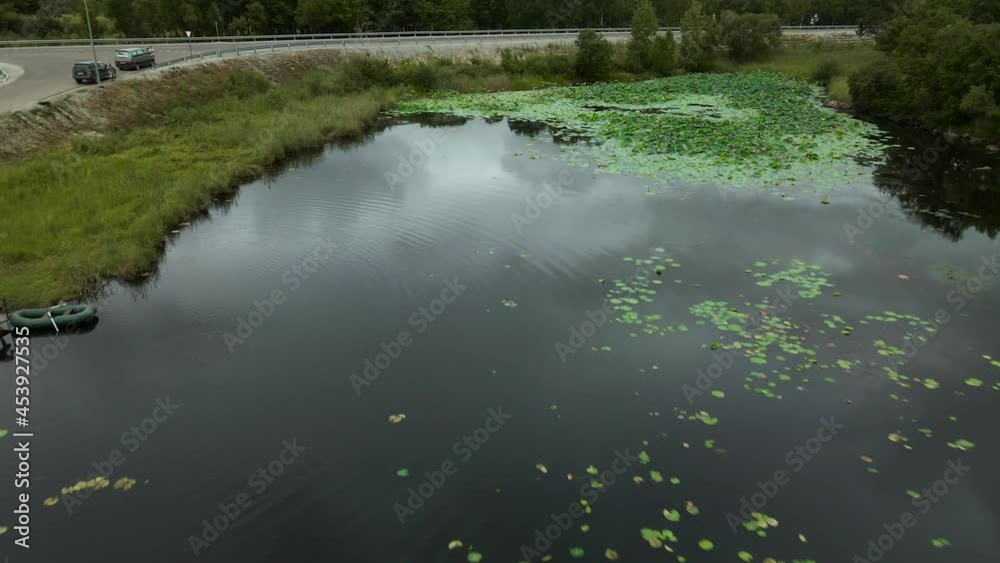 Aerial view of Water Lily (Nenuphar) on Lake next to Rock Mountains and Highway Aerial view of Water Lily (Nenuphar) on Lake next to Rock Mountains and Highway